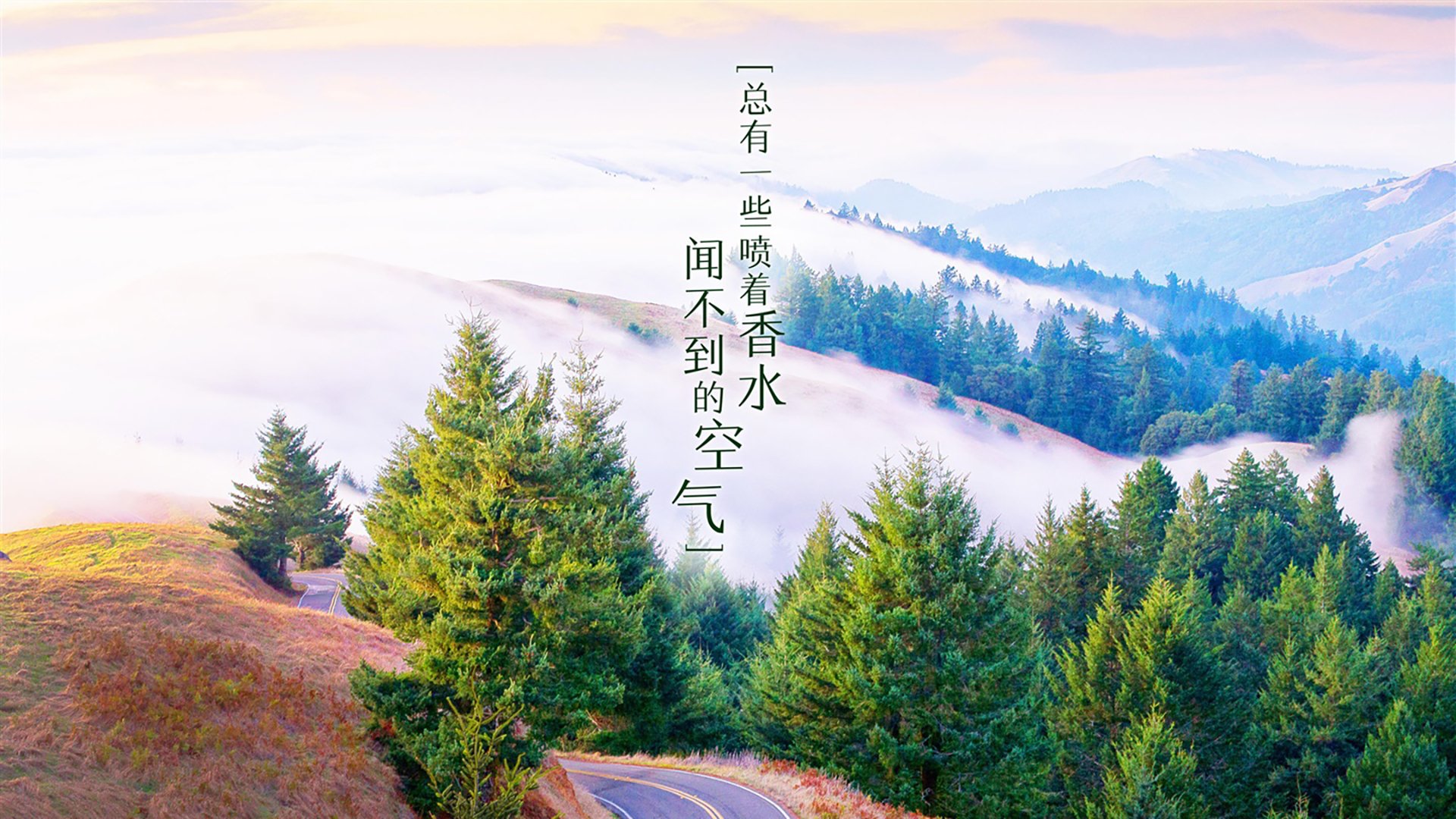 爱游戏 电竞-数据排名是否决定市场价值，数据排名是否决定市场价值指标