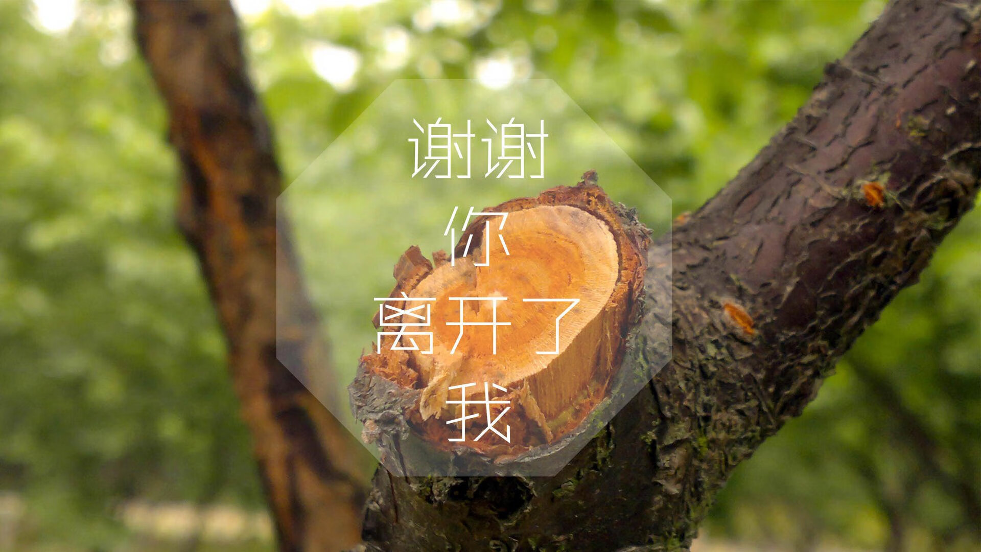 爱游戏官方-2023年赛事赛制改革提升了比赛的公平性，2022年赛事