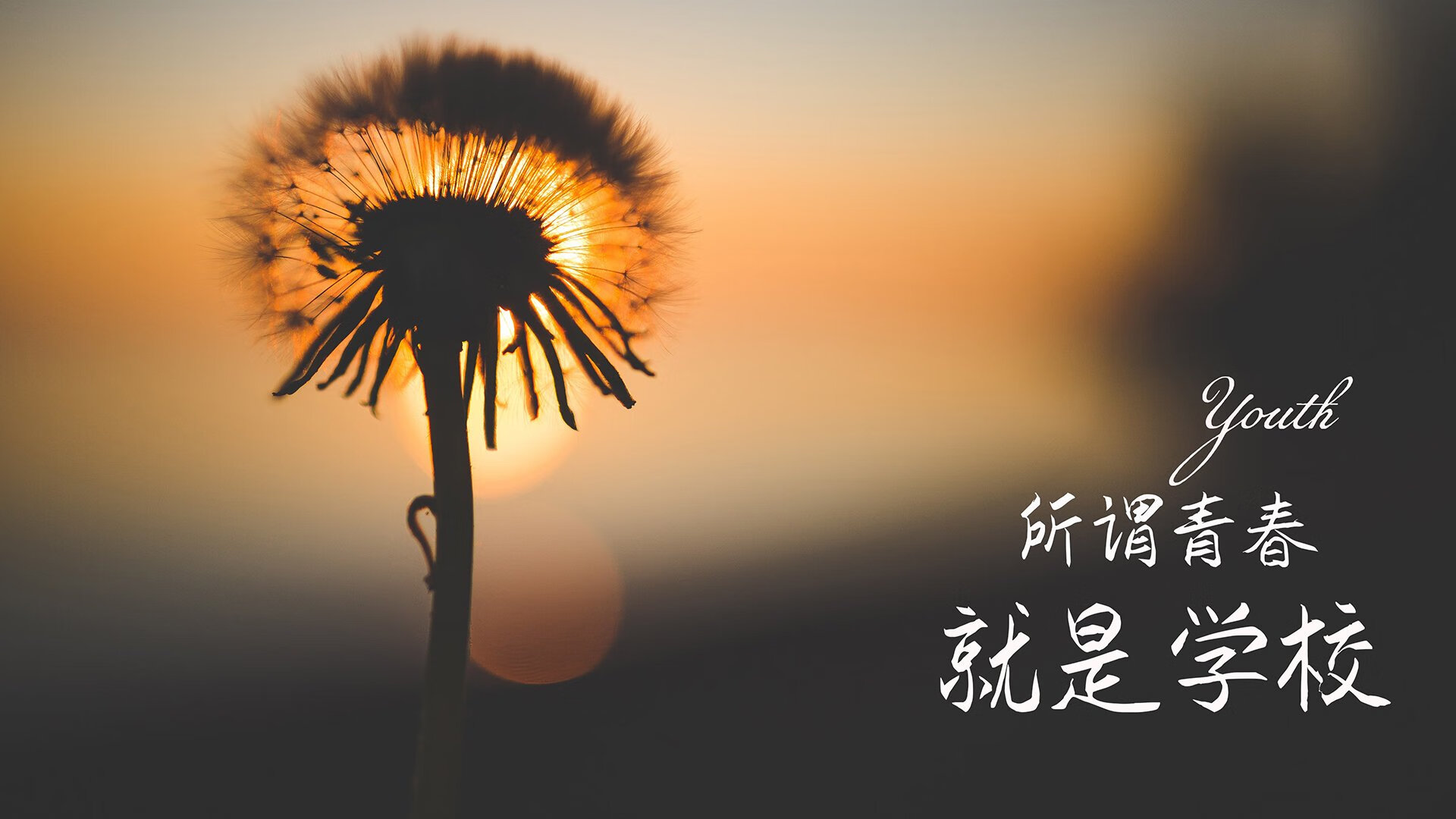 职业球员退役转型面临挑战，球员退役后