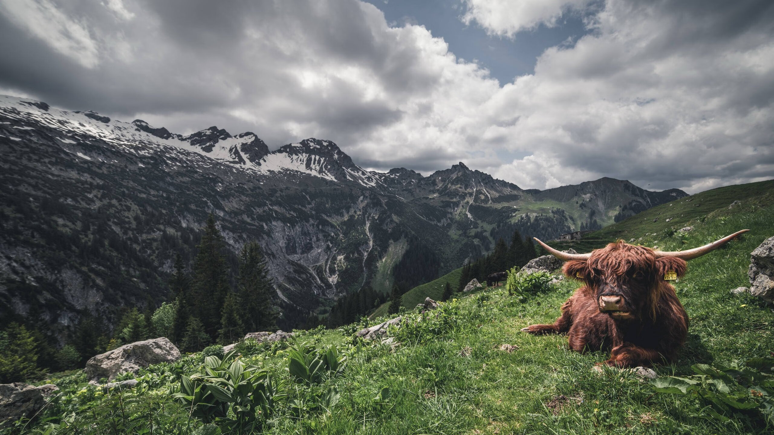 职业联赛加强数据分析支持战术优化和球员发展，职业联赛的意义